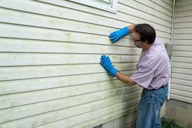 Best Fiber Cement Siding Installation  in Boaz, AL